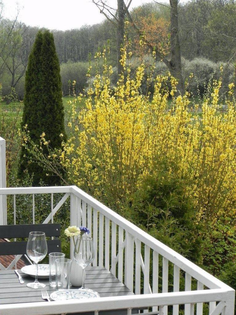 Ferienwohnung-Nils-Holgerson-Mit-Balkon-Zwischen-Strand-Wald-Wiese-Im-Suedosten-Der-Insel-Ruegen Gustow  Dış mekan fotoğraf